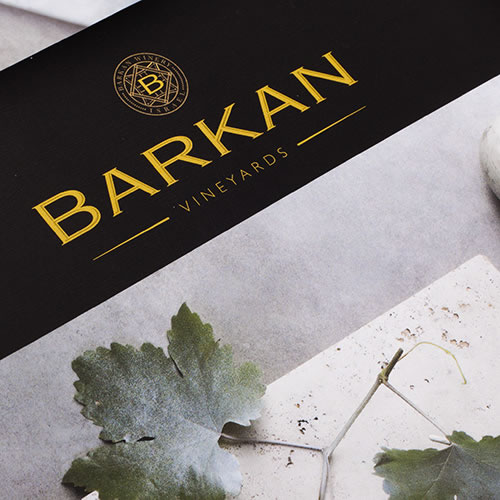 Read more about the article BARKAN WINERY