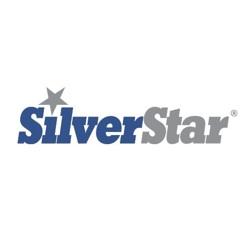 Read more about the article SILVER STAR