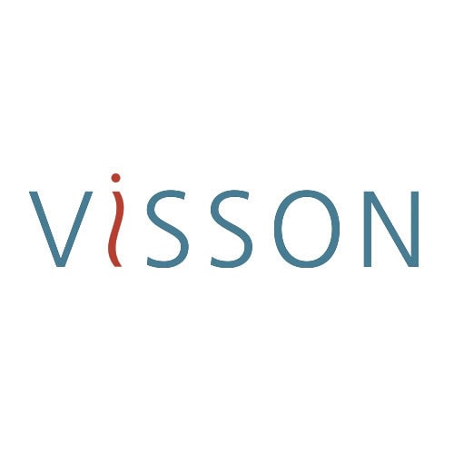 Read more about the article VISSON