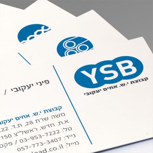 Read more about the article YSB GROUP