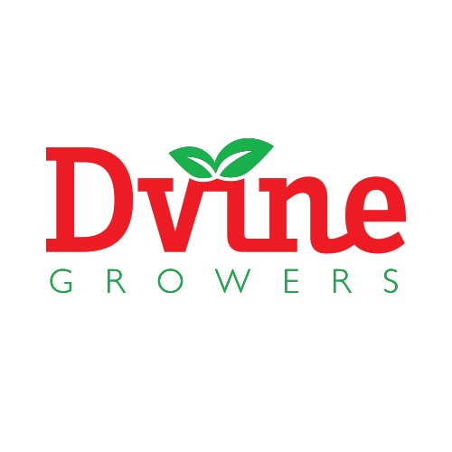 Read more about the article DVINE GROWERS